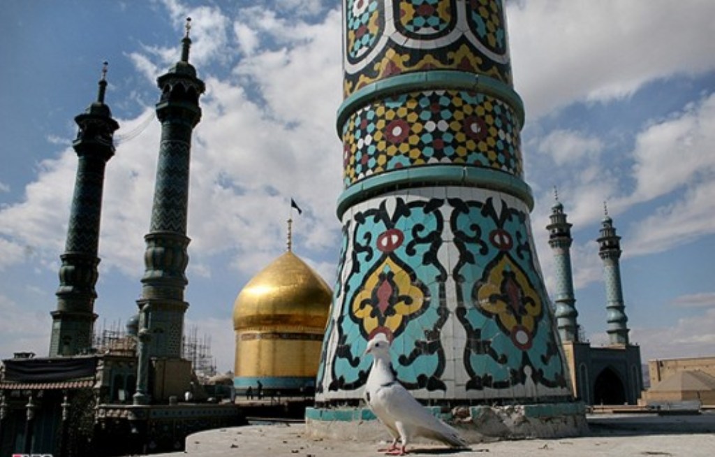 کبوترم...