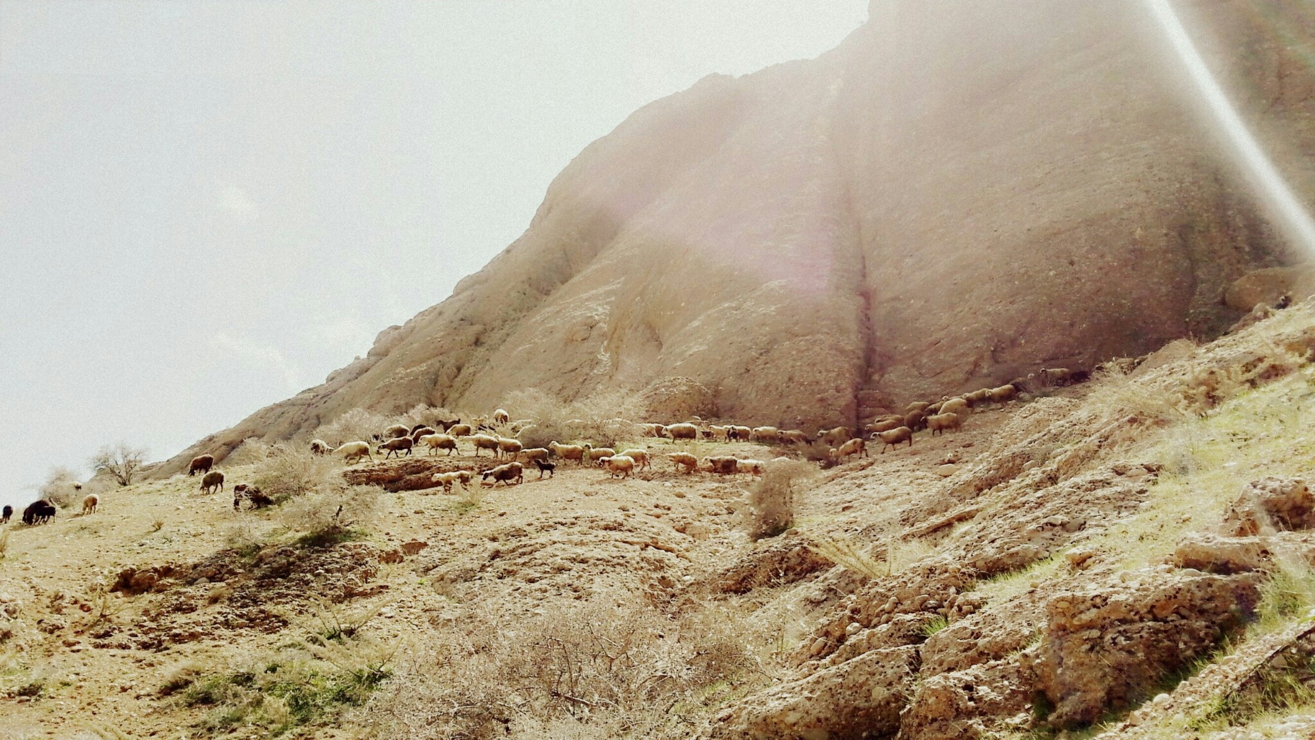 روستای شهریار