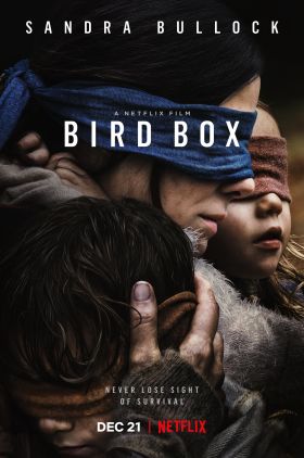 دانلود زیرنویس فارسی فیلم Bird Box 2018