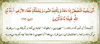 نمل62 نمل62