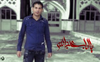مجید محمدی