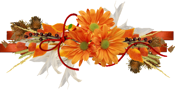 Image result for ‫جدا کننده متن متحرک برای وبلاگ‬‎