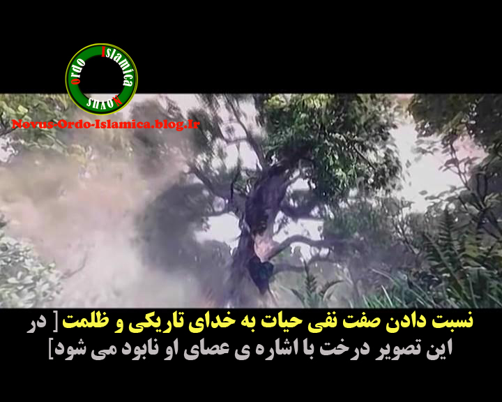 [تصویر: 3922717294209288317?view]