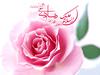 امام نقی(ع)