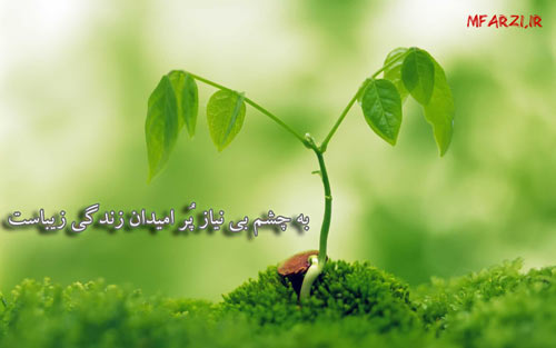 دکتر مریم فرضی