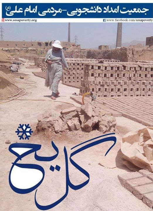 جشنواره گل یخ