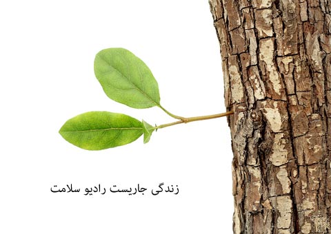 دکتر مریم فرضی