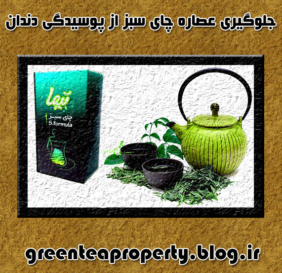 جلوگیری عصاره چای سبز از پوسیدگی دندان