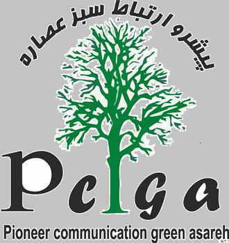 Pioneer comunication green assare