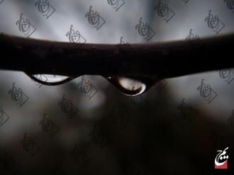 جیم لنز عکاس ایرج همدانی قطرات باران