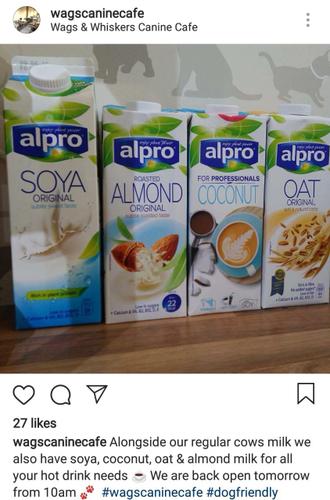 post about alternative milk from wags cain cafe