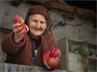 زندگی حس غریبی است که یک مرغ مهاجر دارد