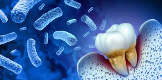 oral-bacteria
