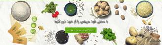 محلی فود