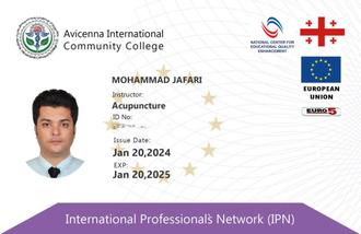 مدرس مورد تایید دانشگاه اوسینا گرجستان