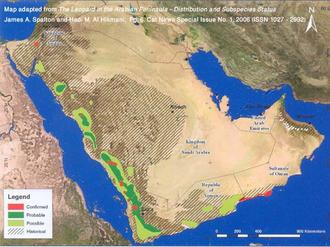 نقشه پراکنش پلنگ عربی 
