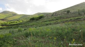 Iran-Kurdistan-Sanandaj-Village Hanis