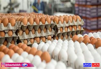 ناکامی سودجویان در قاچاق تخم مرغ