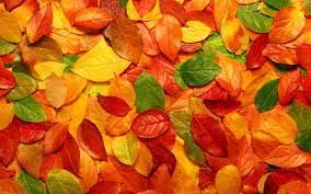 رنگ پاییزی