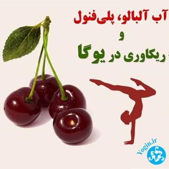 tart cherry and recovery in yoga