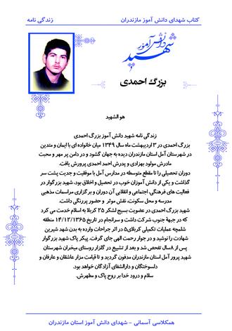 شهید بزرگ احمدی