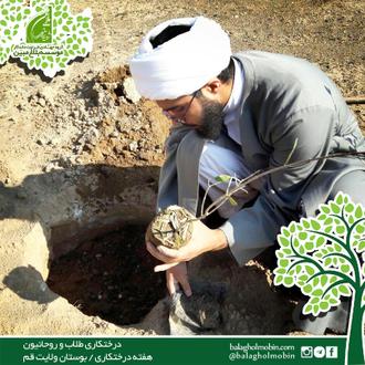 درختکاری طلاب و روحانیون قم در هفته درختکاری / شهید تقی پور / بلاغ مبین / طراوت ماندگار