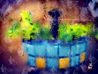 جیم لنز عکاس ایرج همدانی قطرات خسته بر روی شیشه 