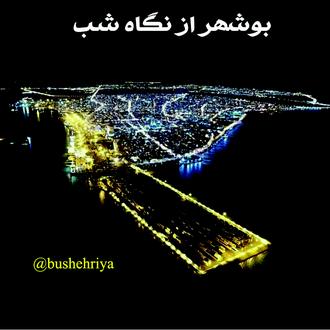 بوشهر