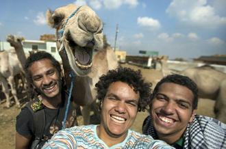 دانش آموز سعودی و شتر