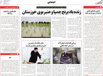 در پی ممنوعیت کشت برنج در خوزستان در سال زراعی 97؛ زنده باد برنج عنبربوی خوزستان