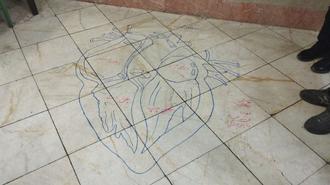 آزمایشگاه زیست استاد فرجی بررسی قلب - نقاش فروتن خطاط مجیدفر و مستعان