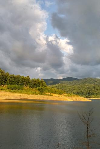عکس با کیفیت تپه جنگلی کنار دریاچه