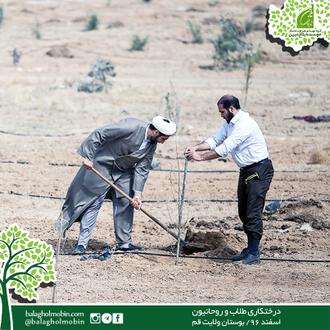 درختکاری طلاب و روحانیون قم در هفته درختکاری / شهید تقی پور / بلاغ مبین / طراوت ماندگار