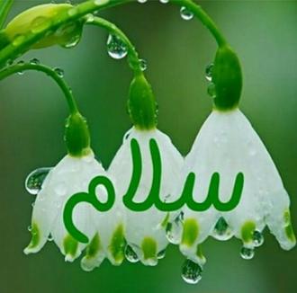 Image result for ‫سلام علیکم‬‎