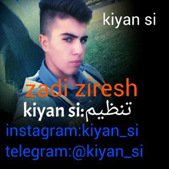 زدی زیرش