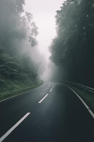 جاده بارانی مه‌آلود در جنگل