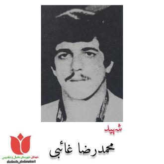 شهید غائبی