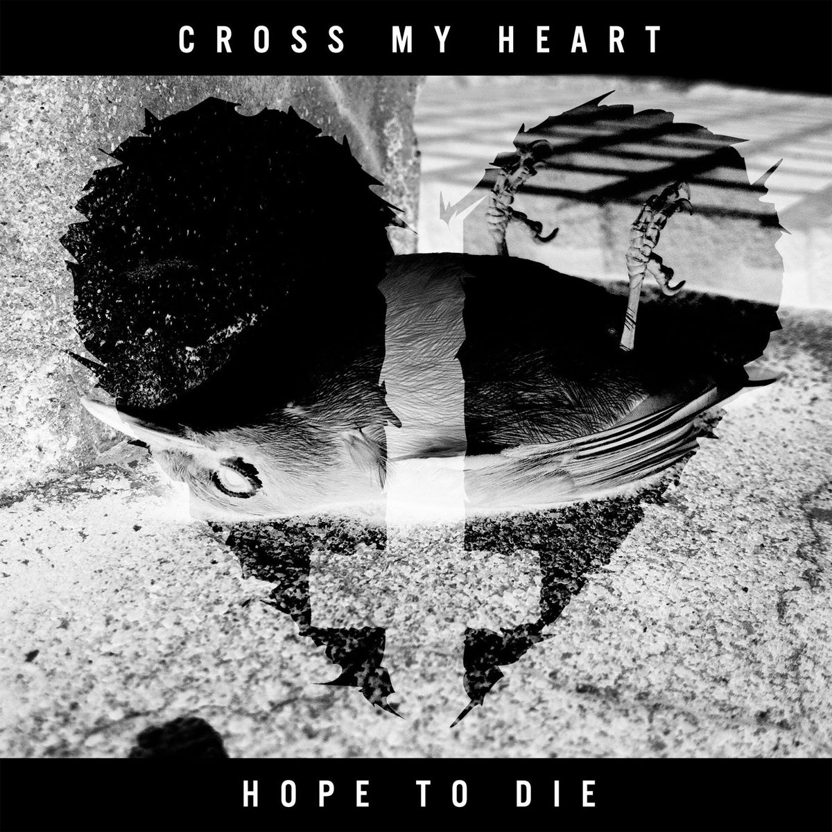 cross my heart and hope to die 