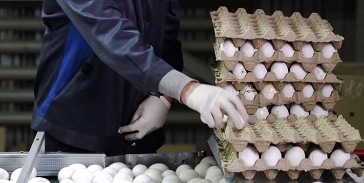 کشف ۲۱ تن روغن مایع غیرمجاز و ۴ تن تخم‌مرغ فاقد مجوز در خراسان‌جنوبی
