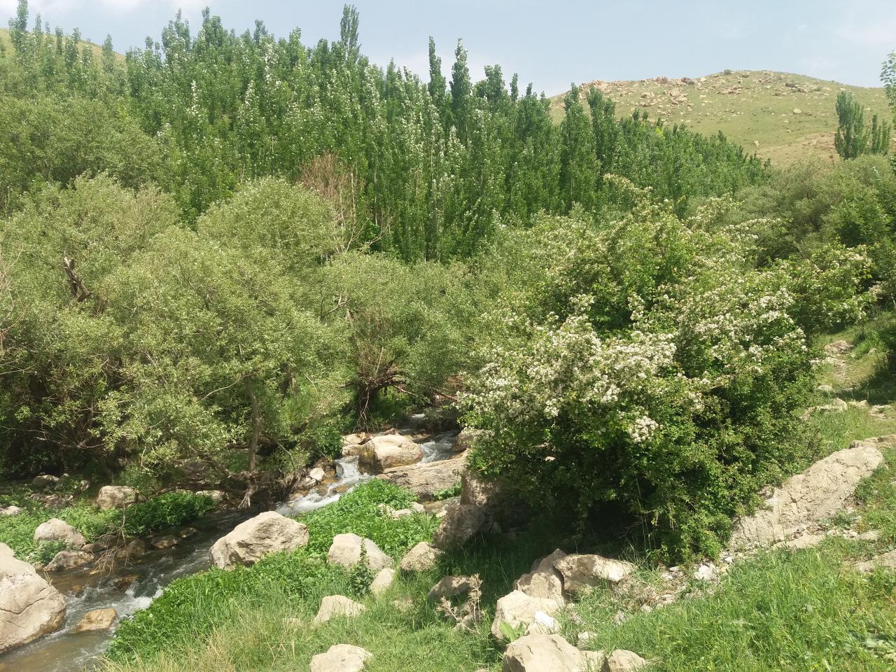 طبیعت بهاری <font style=