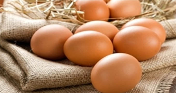 تداوم گرانی نرخ تخم مرغ در آخرین روزهای پاییزی