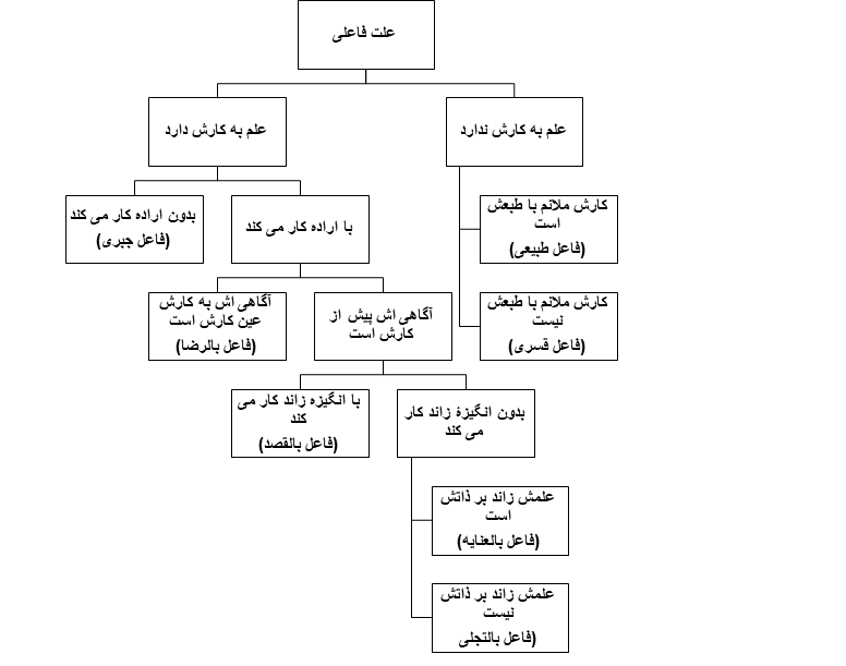 علل فاعلی