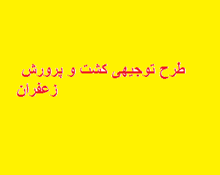 شززشز