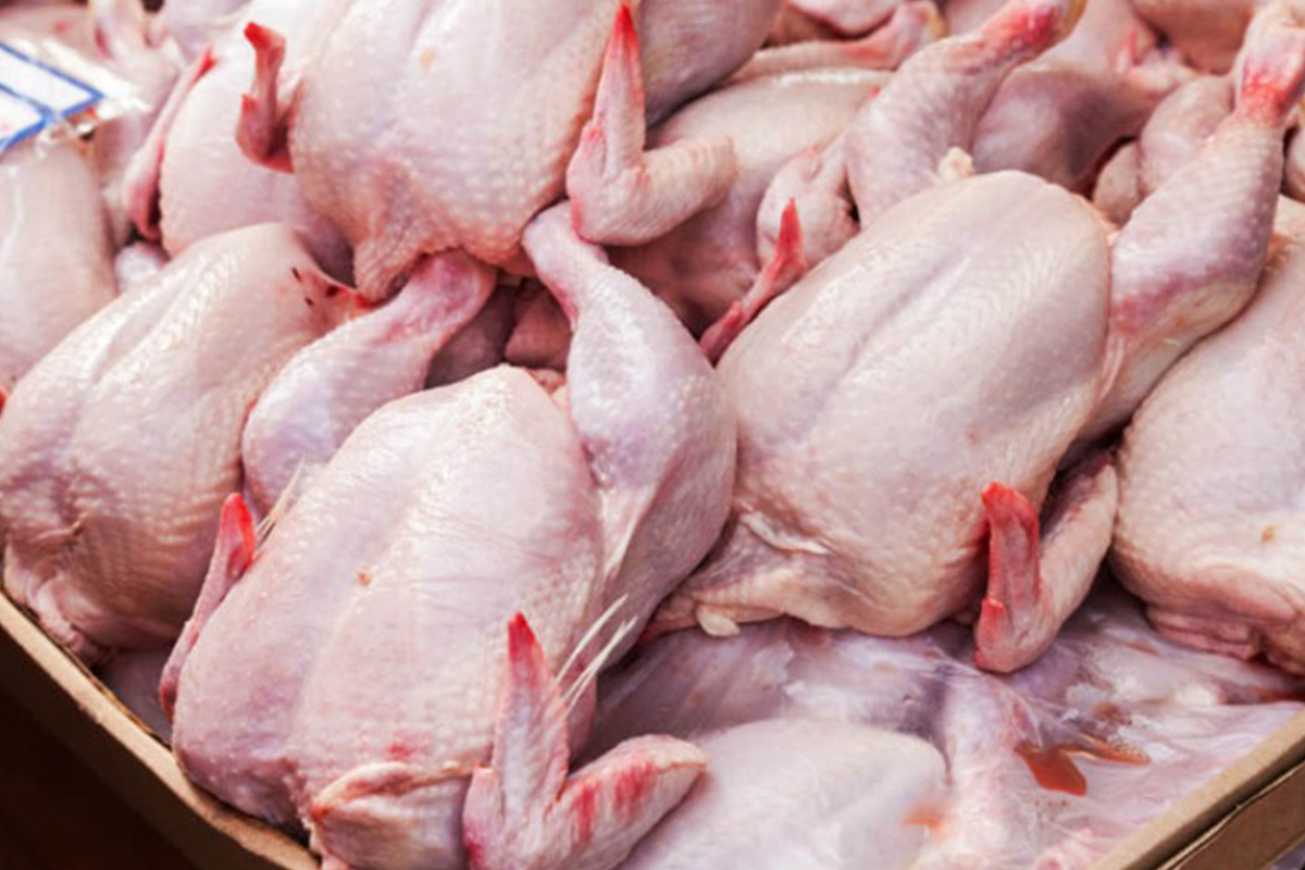 آخرین تحولات بازار مرغ/ قیمت مرغ به ۱۱ هزار و ۳۰۰ تومان رسید