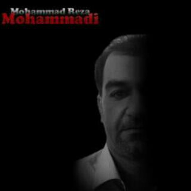 محمدرضا محمدی