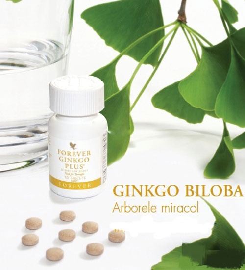 Forever-Ginkgo-Plus