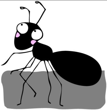 تعبیر خواب مورچه چیست | تعبیر نیش مورچه | تعبیر مورچه سیاه