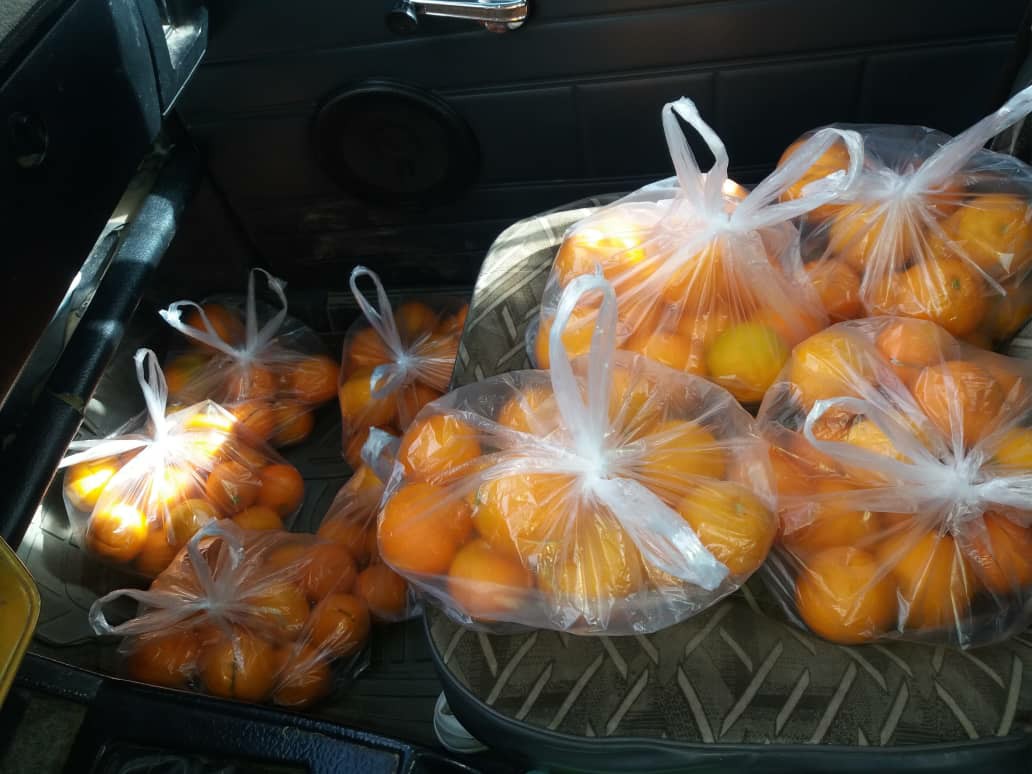 اهدای بسته های میوه پرتقال