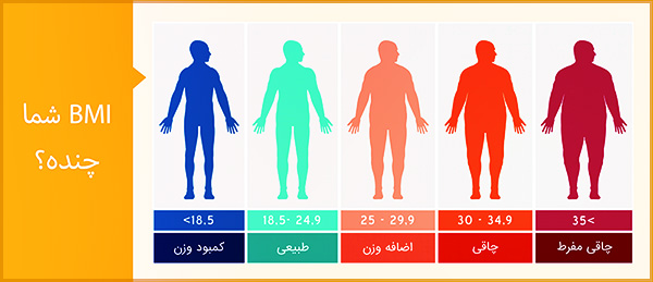 BMI Body Mass Index