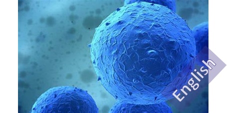 کتاب راهنمای سلول درمانی  Guide to Cell Therapy